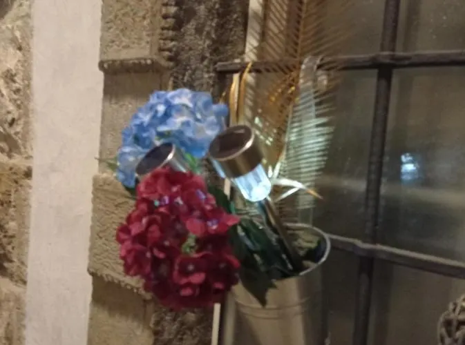 Tatil Evi Emy & Lu Storico Citta Alta *