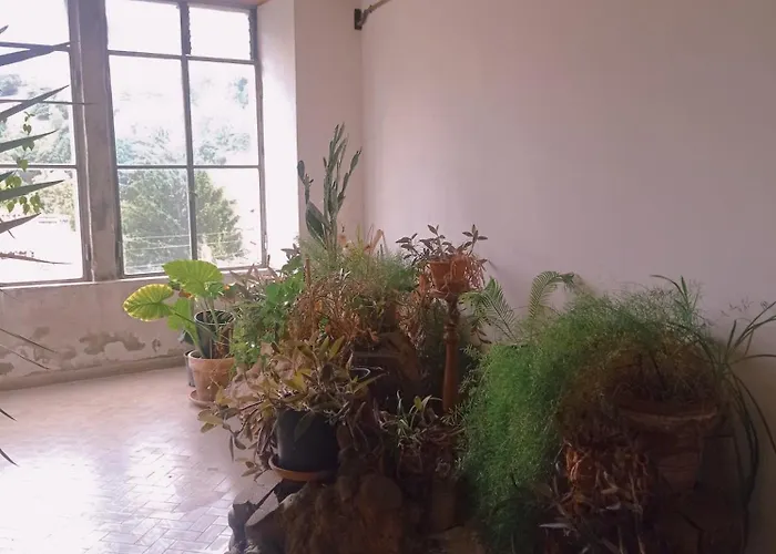 Emy & Lu Storico Citta Alta