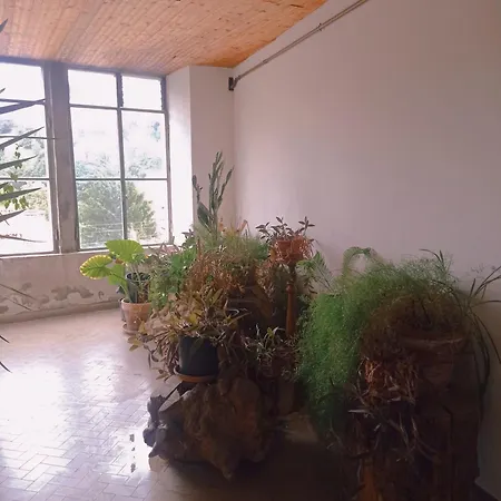 Emy & Lu Citta' Alta Centro Storico